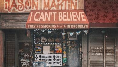 JasonMartin - I Can't Believe (They're Smoking Weed In Brooklyn)